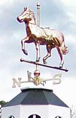 Protected Weathervane mounted on roof.