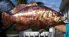 Protect Copper Garden Art with Everbrite